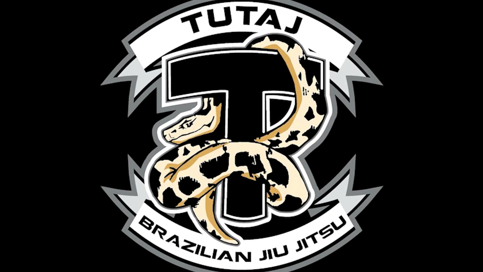 W10 Nogi - Close Guard - Double Underhooks 3