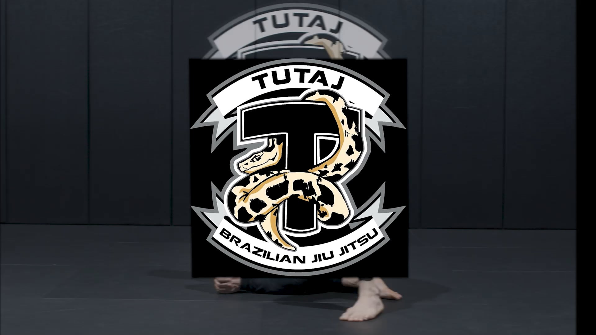 W08 Nogi - Turtle Attacks 3