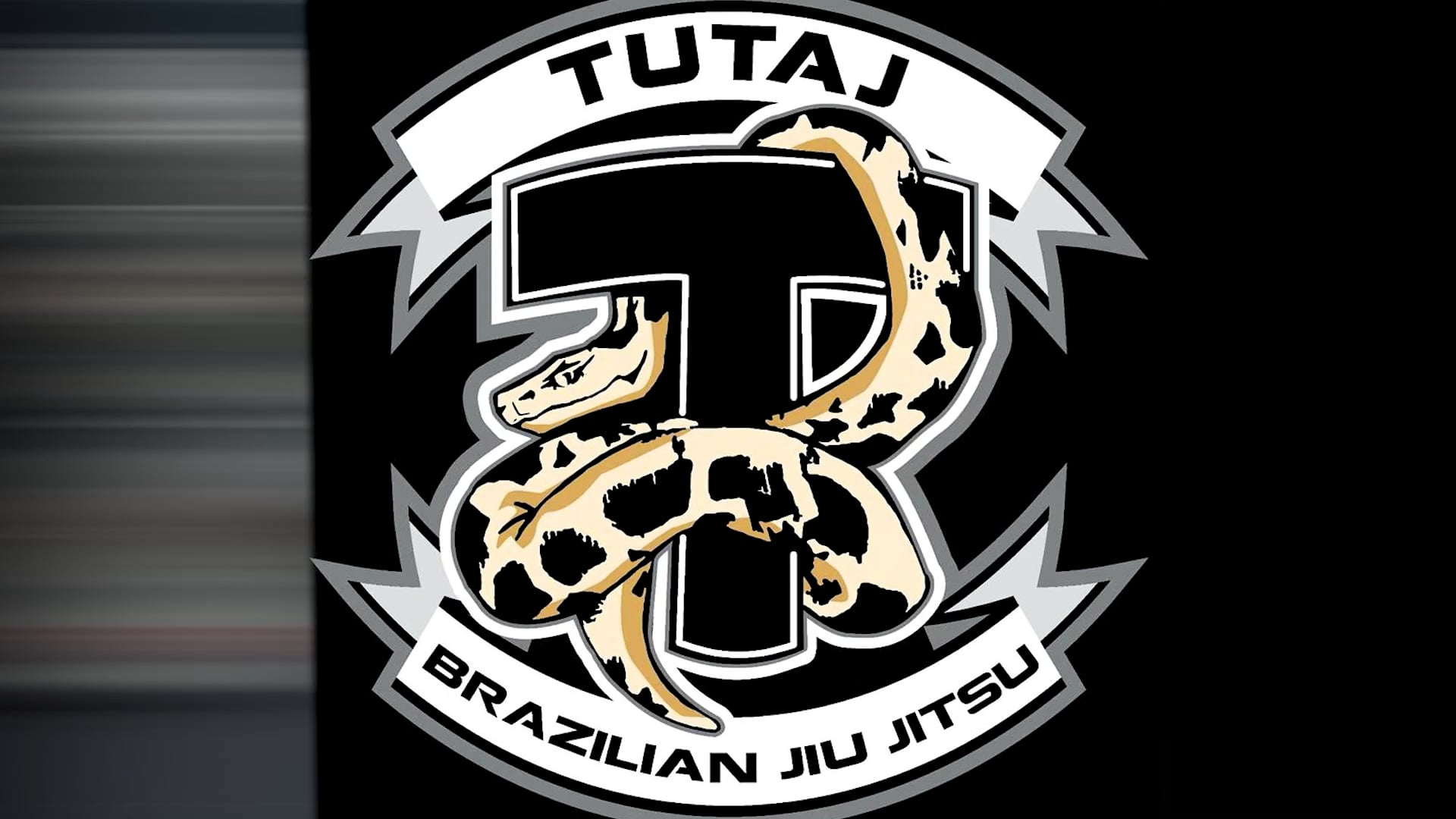 W14 Gi - Open Guard - De la Riva 3