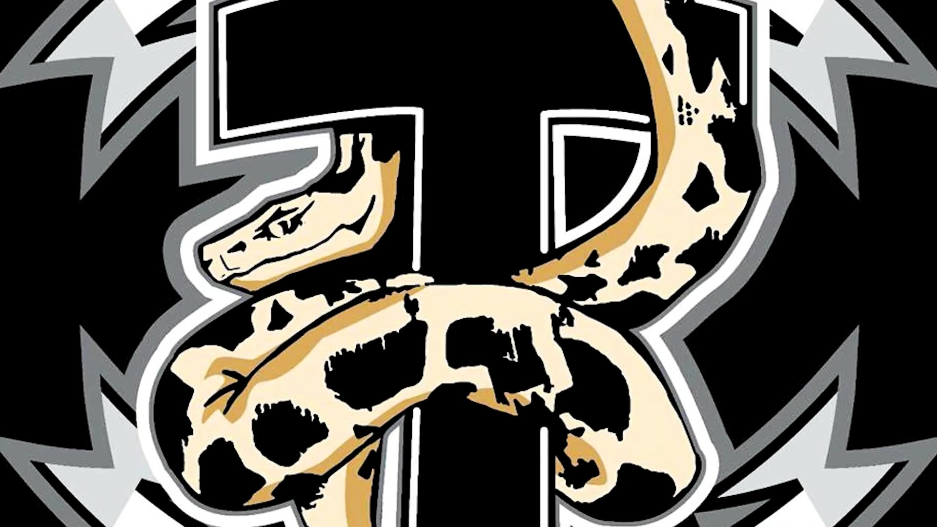 W13 Nogi - Butterfly Guard, Single Leg X 4