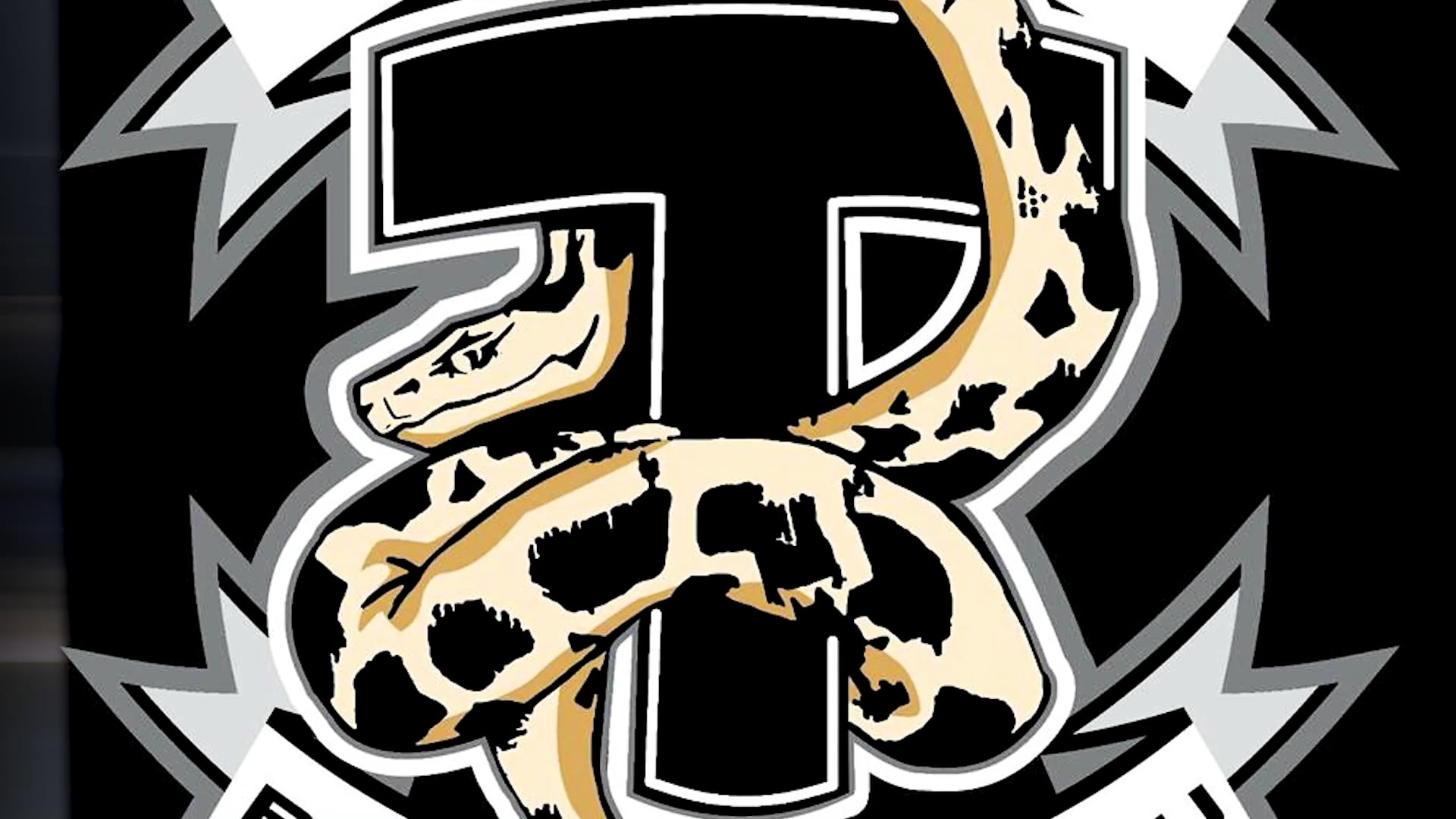 W19 Nogi - Back Escapes 3