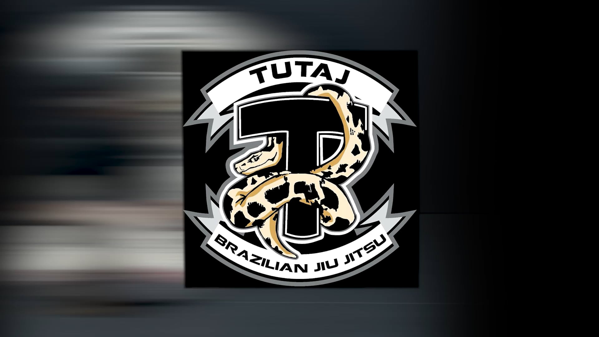 W10 Gi - Closed Guard - Cross Grip To Break Grip 4