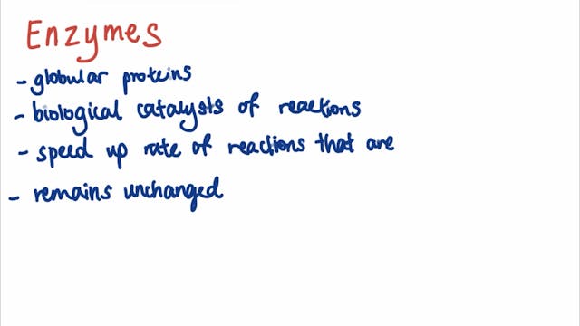 3.1.4.2 Many proteins are enzymes