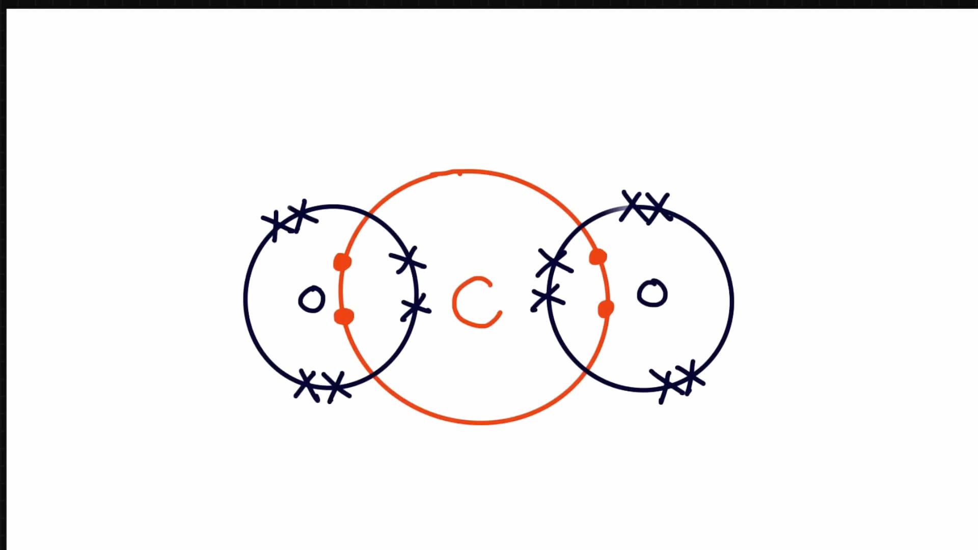 3.1.1 Monomers and Polymers & 3.1.2 Carbohydrates 