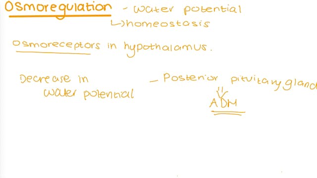 3.6.4.3_ Osmoregulation
