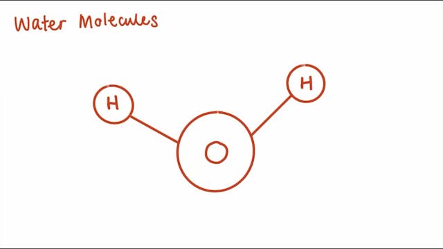 3.1.7 Water, 3.1.8 Inorganic Ions