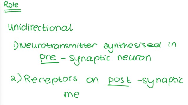 3.6.2.2_ Synaptic Transmission