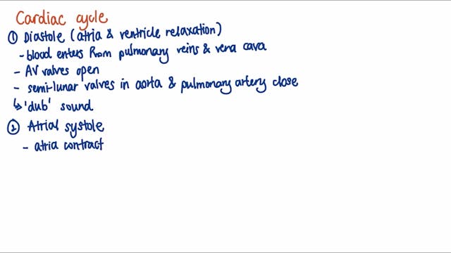 3.3.4.1 (cardiac cycle, blood vessels)