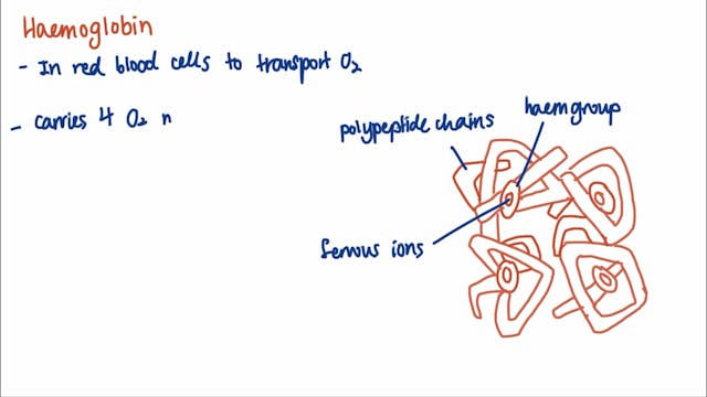 3.3.4.1 Mass transport in animals (ha...