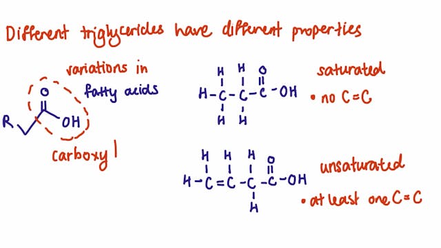 3.1.3 Lipids & 3.1.4.1 Proteins