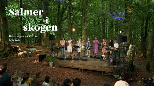 Konsert - Salmer i skogen 2024