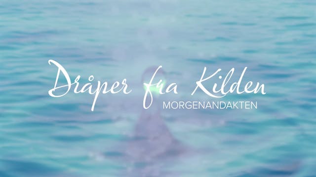 Mandag 01.12.2025 - Egil Sjaastad (1)