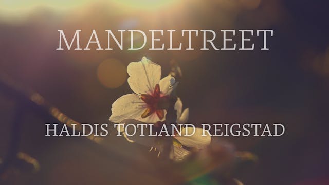 1. Desember - Kvite og kalde