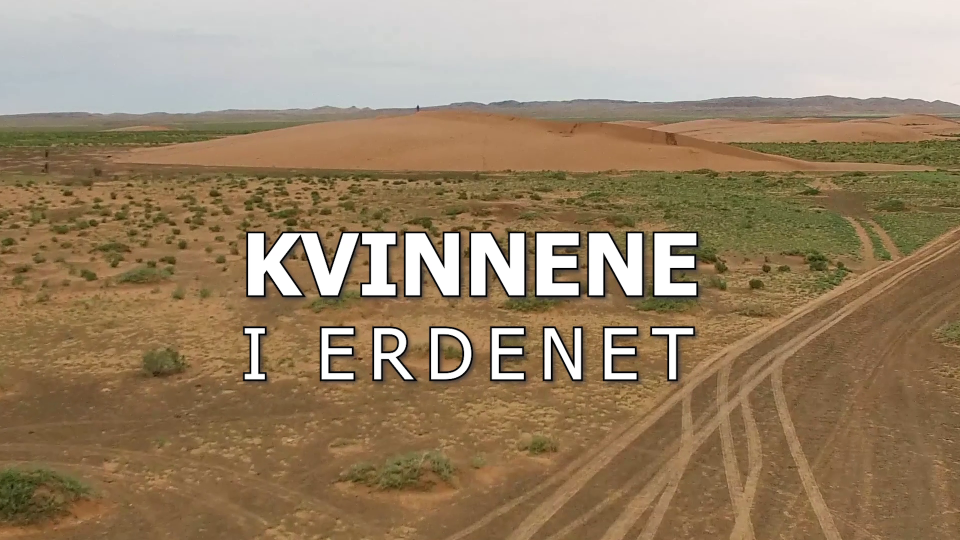 Kvinnene i Erdenet