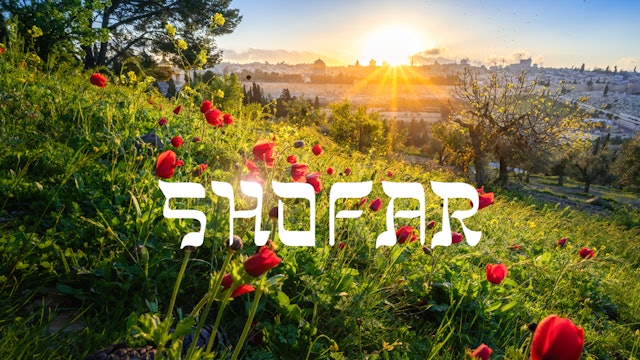 Shofar - Treets dag i Israel