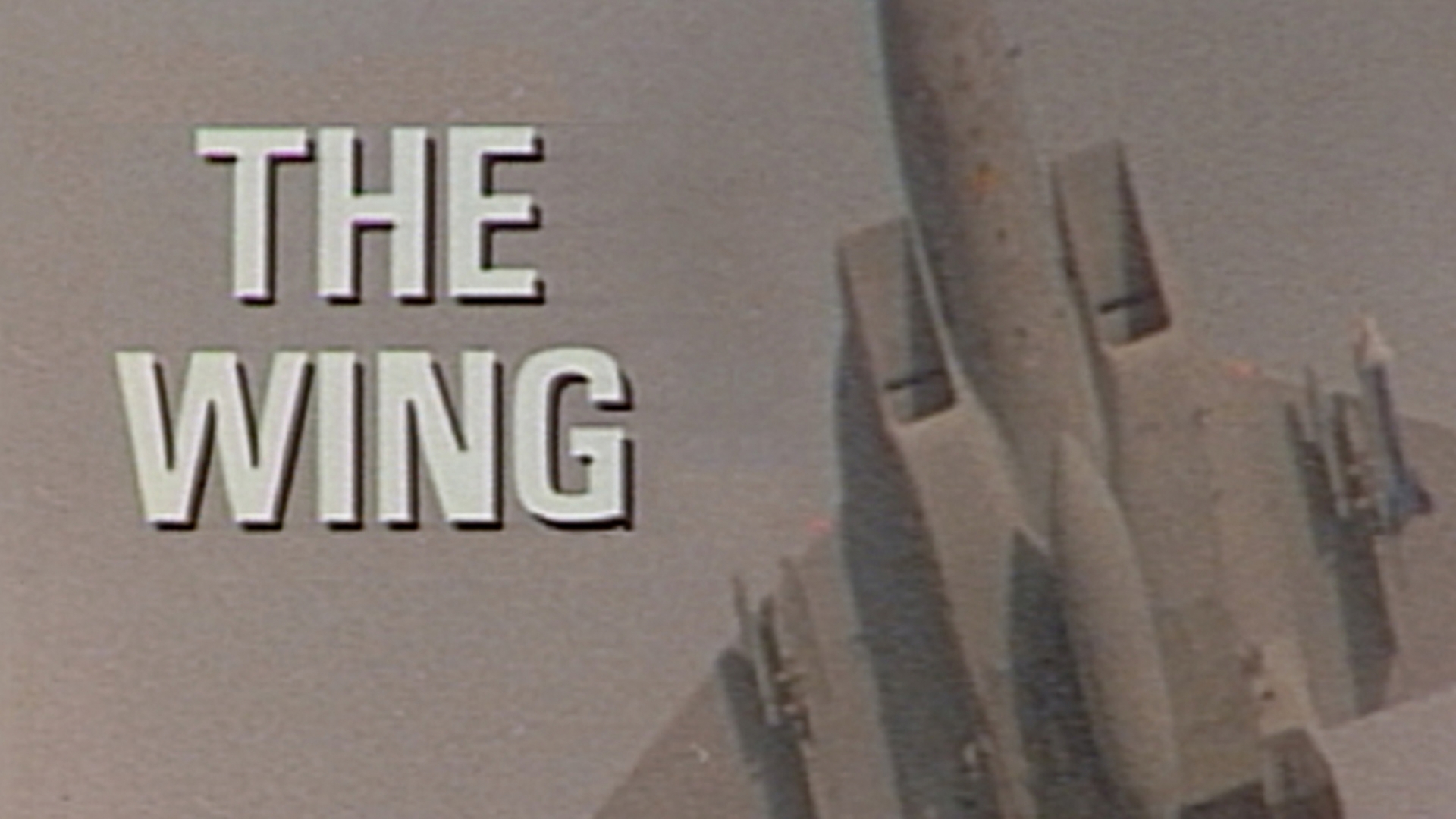 The Wing: Cold Warriors