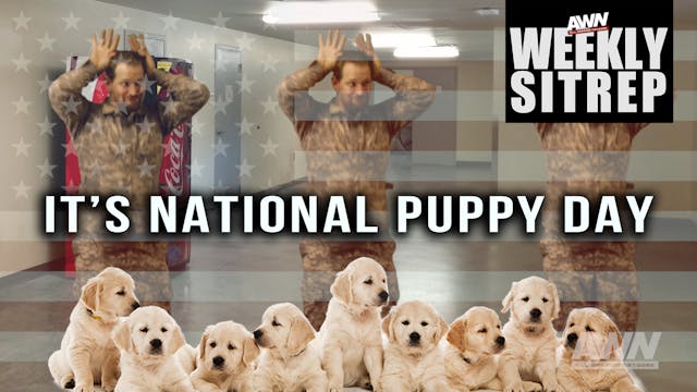 Weekly SITREP Episode 122