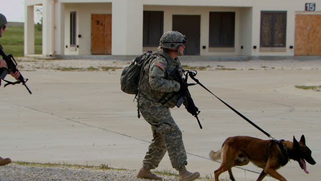 Military Working Dog Handler (31K)