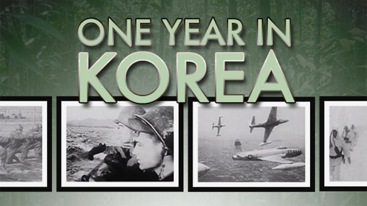 One Year in Korea