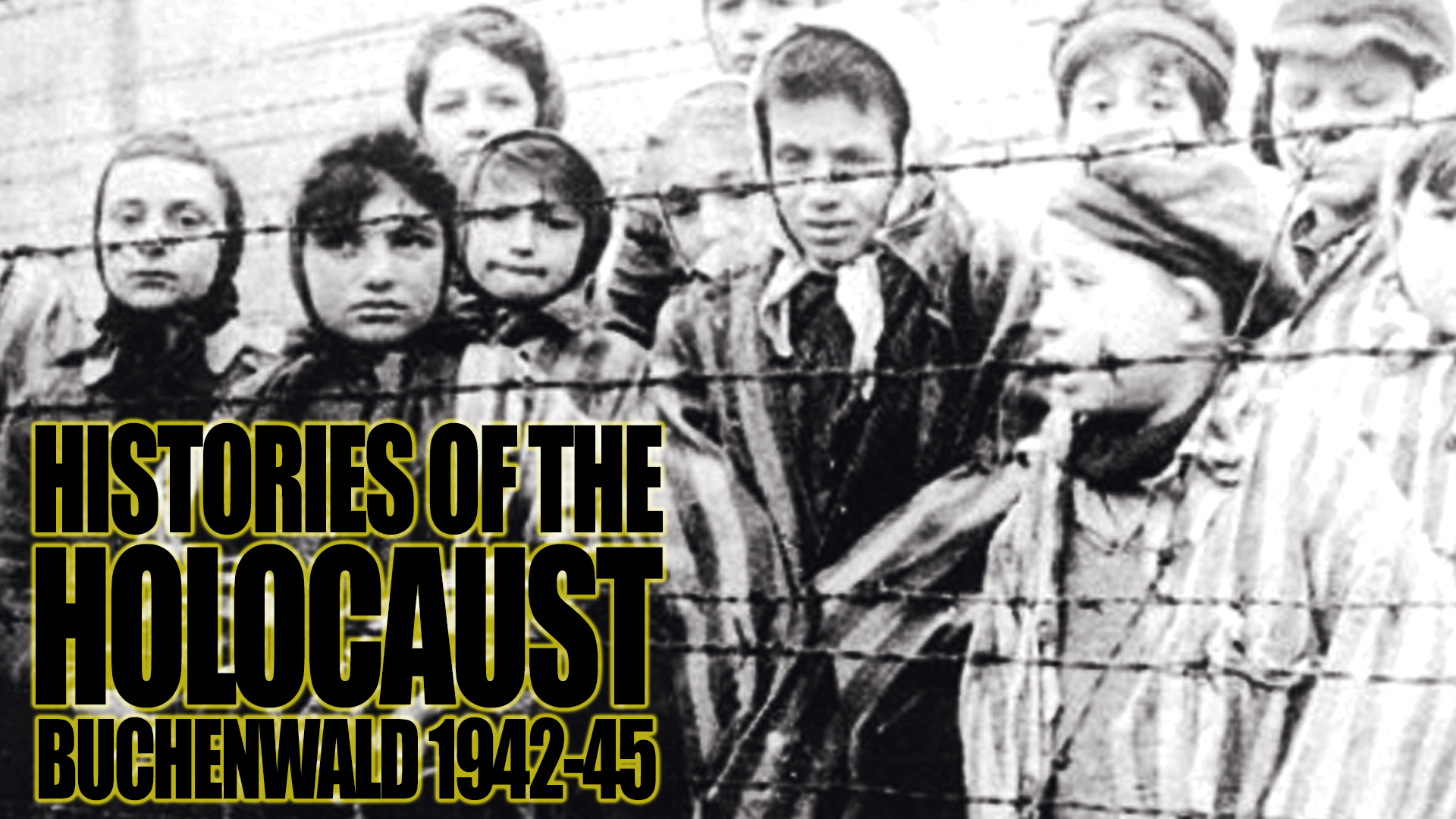 Buchenwald 1942-45: Histories Of The Holocaust