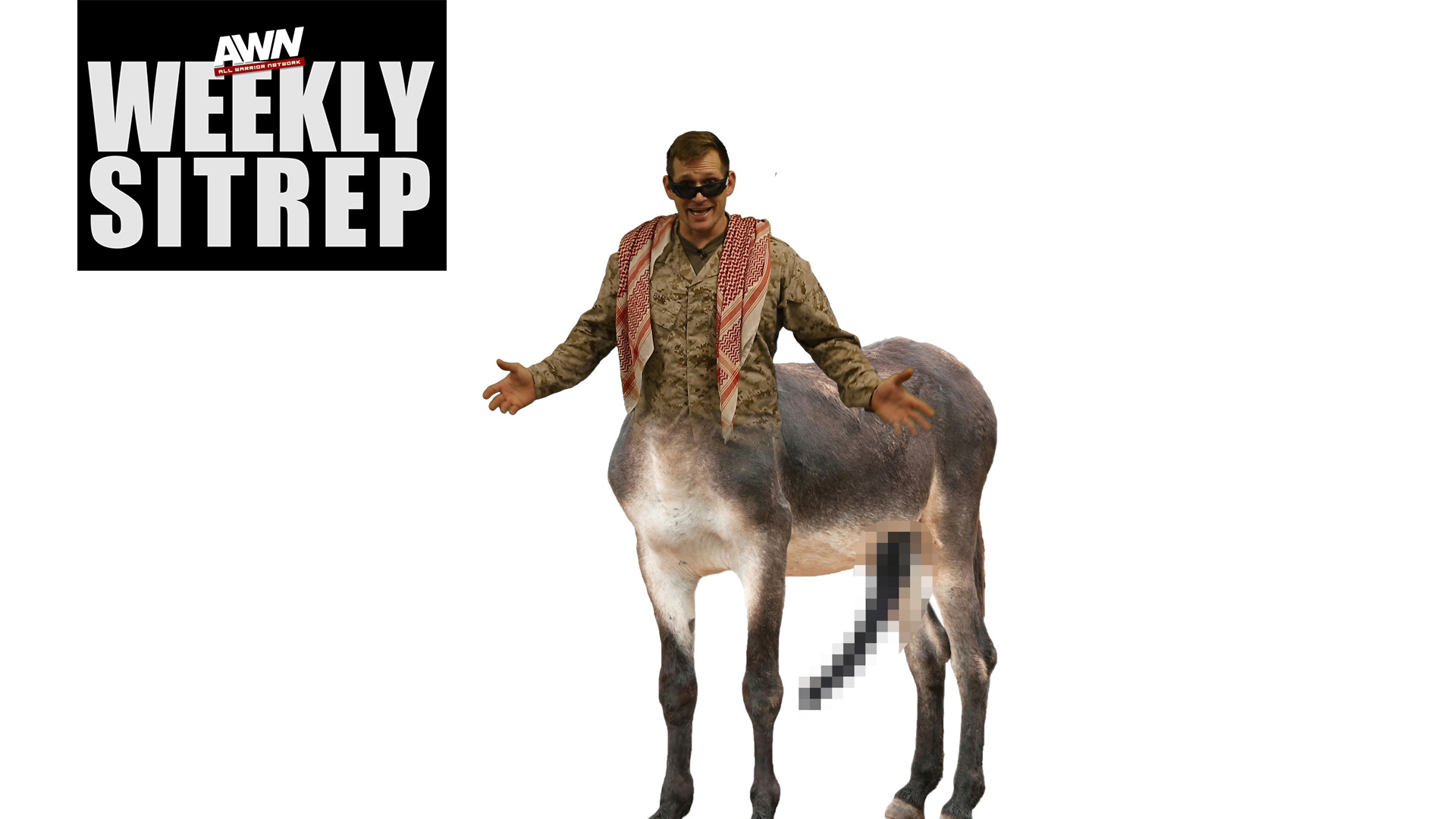 Weekly SITREP Episode 81