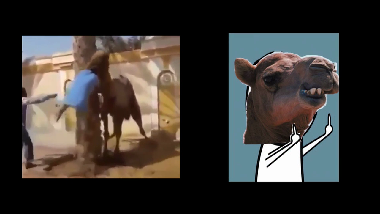 Weekly SITREP Episode 9