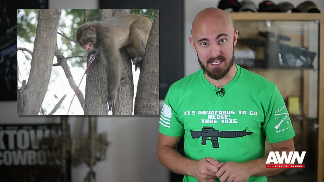 Weekly SITREP Episode 38