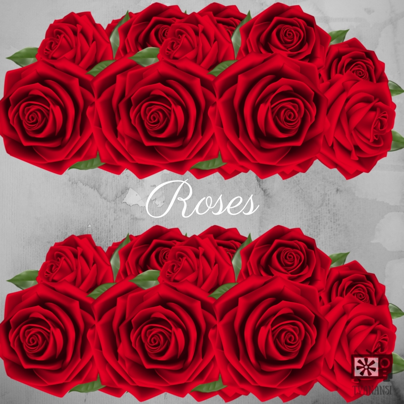 Quickies: Roses
