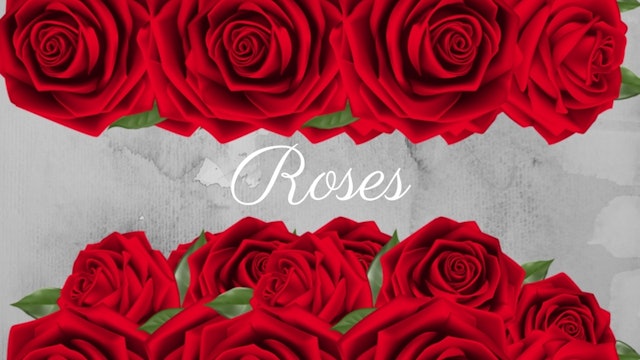 Quickies: Roses