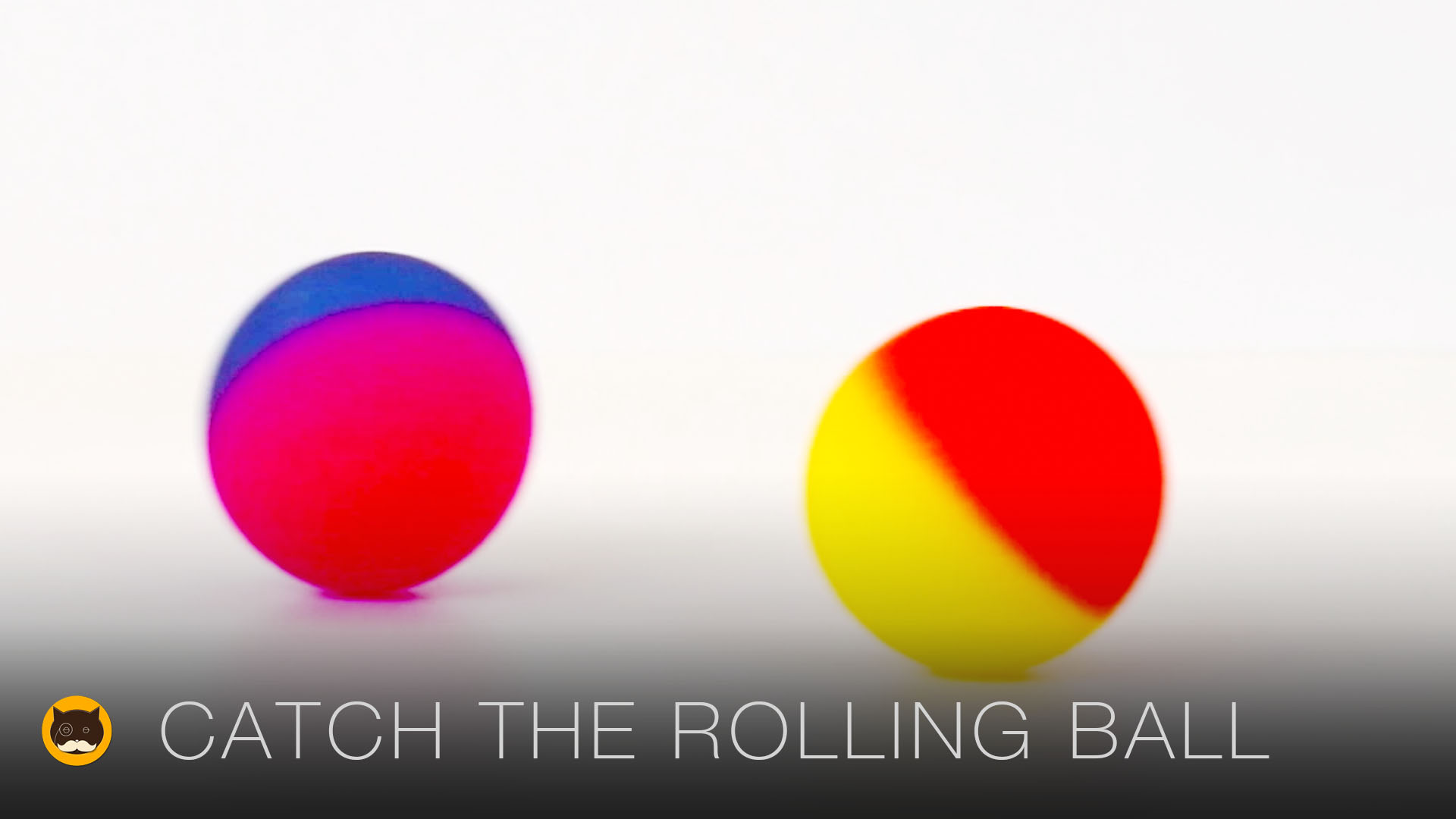 CAT GAMES - Catch the Rolling Ball. Videos for Cats 