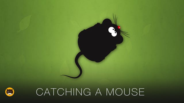 Mouse Video for Cats to Watch - Catch...