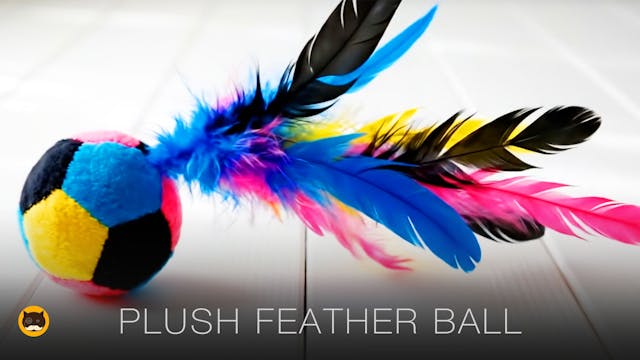 CAT GAMES - Catch the Colorful Plush ...