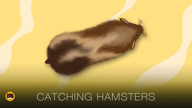Cat Games - Catching Hamsters