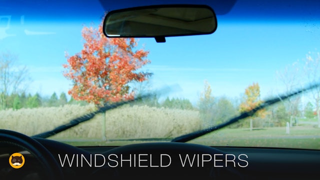 Cat TV - Windshield Wipers