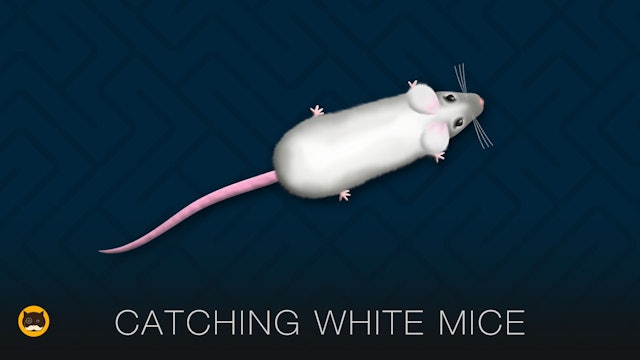 Mouse Video for Cats - White Mouse