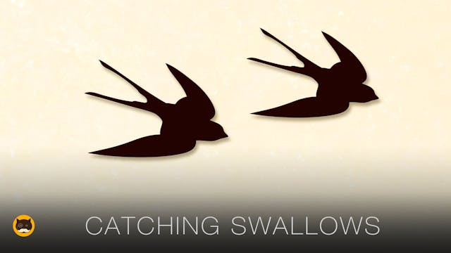 Cat Games - Catching Swallows