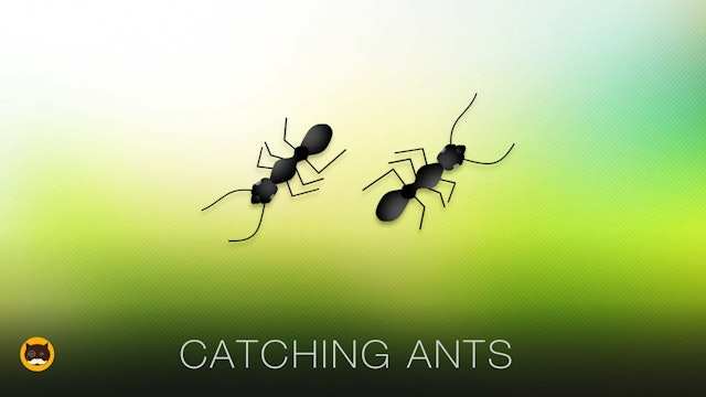 Cat Game on Screen - Catching Ants