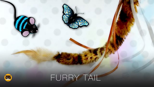 CAT GAMES - Furry Tail, Mice, Butterf...