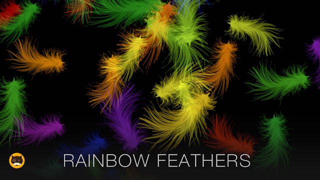 CAT GAMES - Rainbow Feathers. Video f...