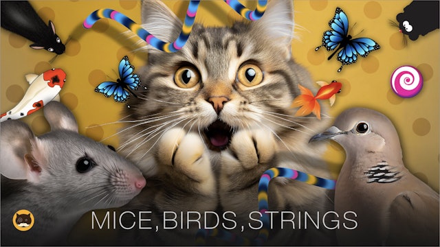CAT GAMES - Mice, String, Birds, Fish, Bugs, Ants, Butterflies | CAT TV