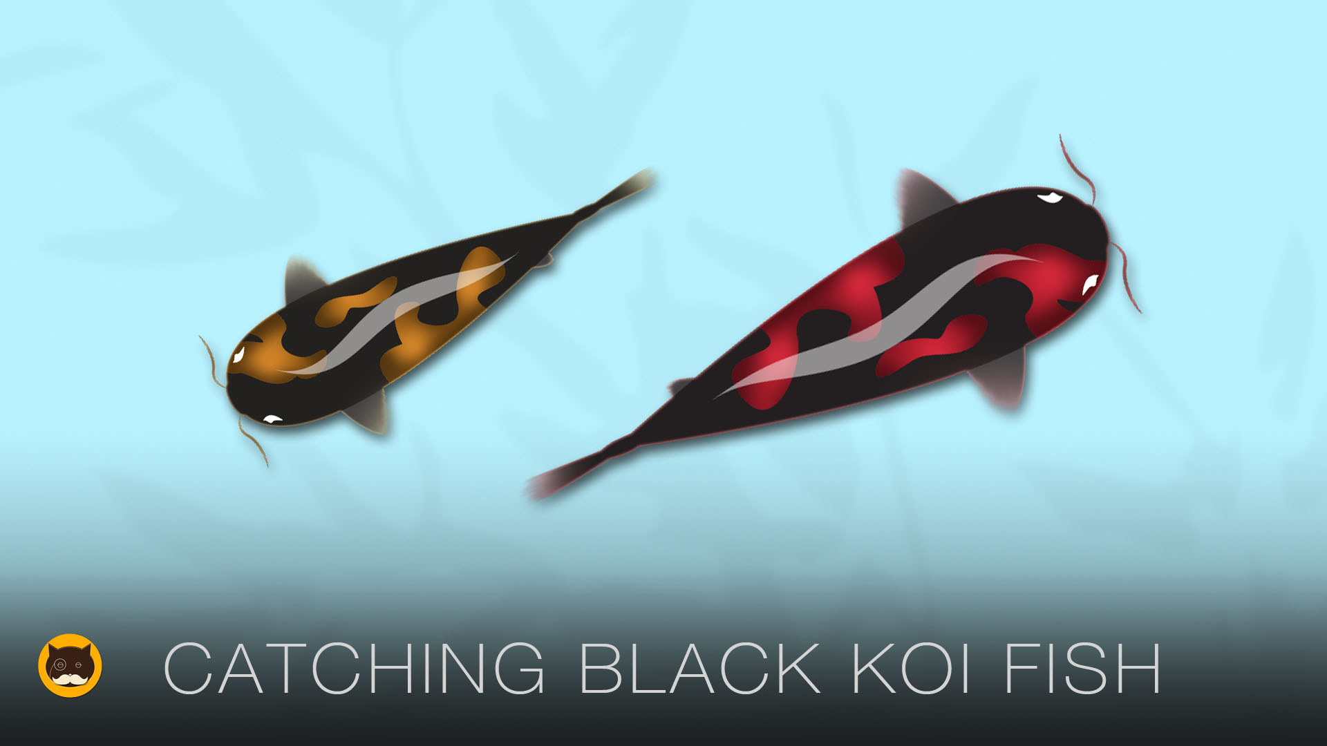 Fish Video for Cats - Black Koi Fish