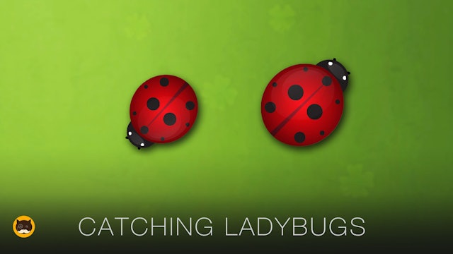 Games for Cats to Watch - Ladybugs