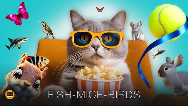 CAT GAMES - Mice, Birds, Squirrels, Strings, Fish, Butterflies, Tennis Ball 