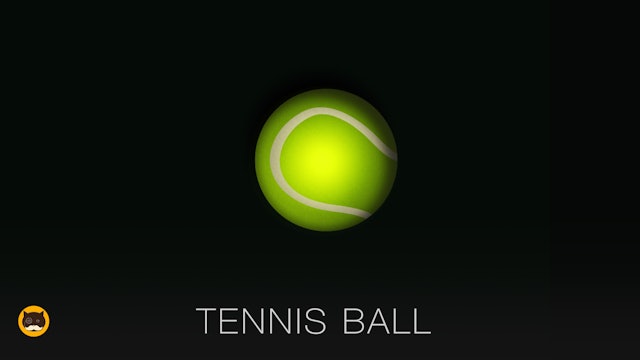 Game for Dogs and Cats - Tennis Ball. Video for Dogs and Cats