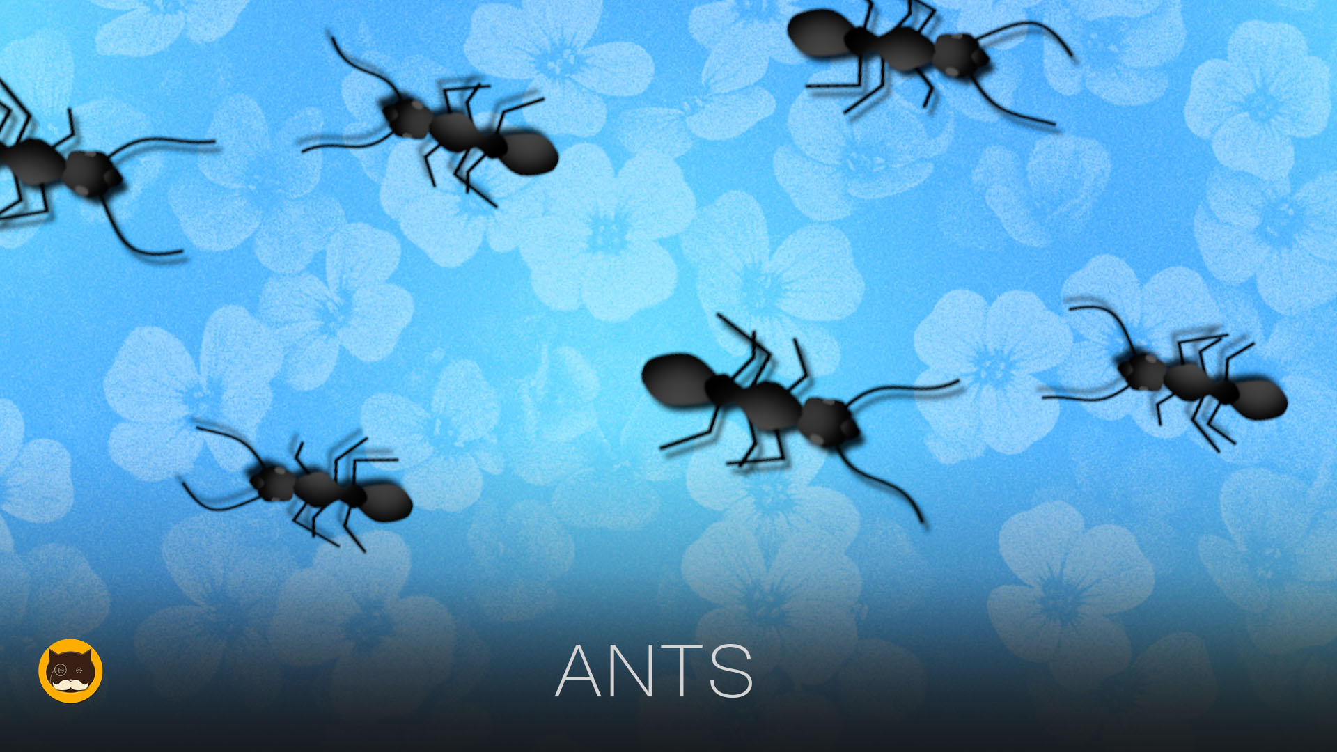 CAT GAMES - Ants. Videos for Cats | CAT TV