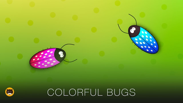 Video for Cats Bugs - Colorful Bugs