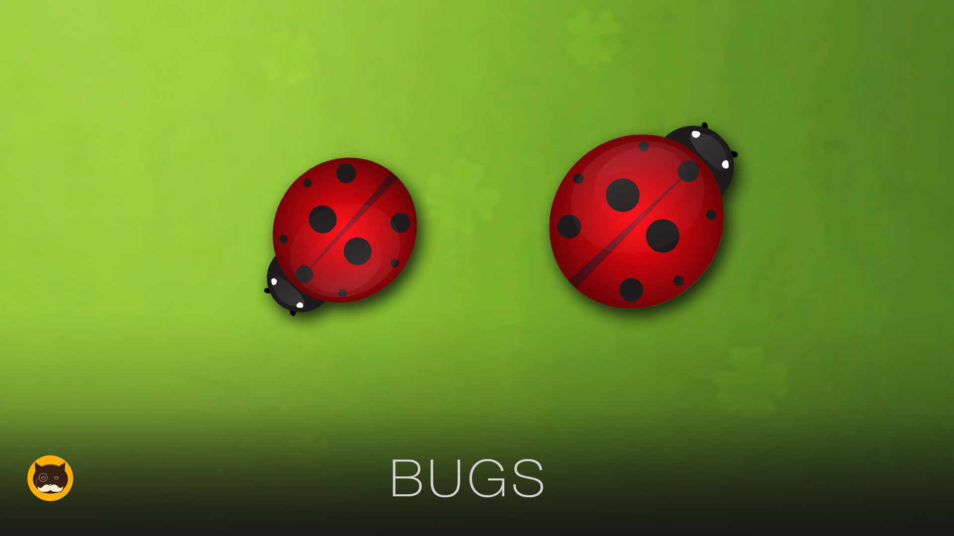 Bugs