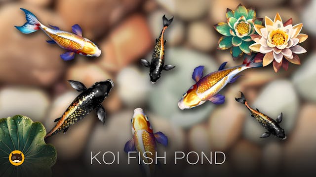 CAT GAMES - Relaxing Koi Fish Pond. V...
