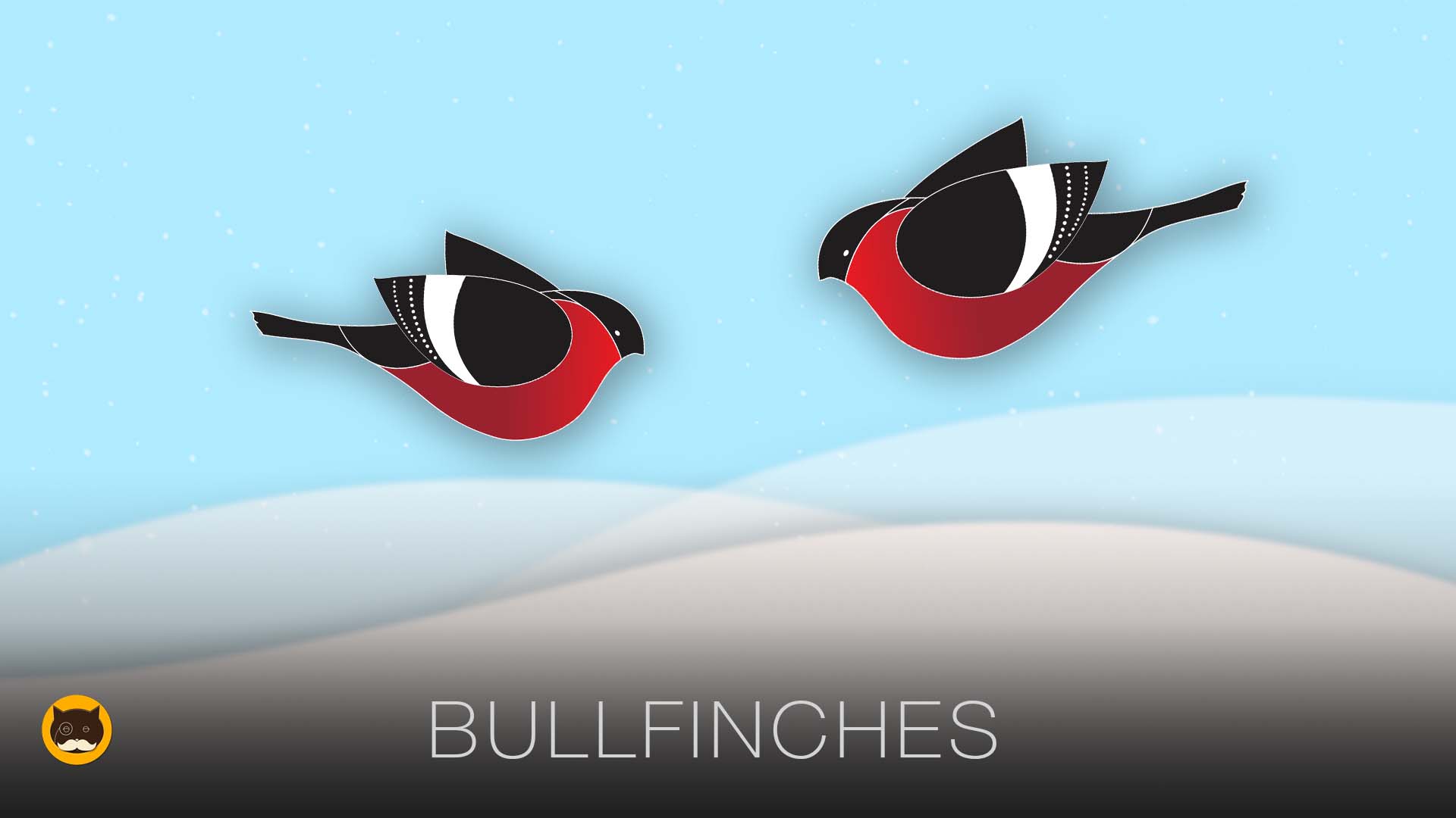 Video for Cats - Bullfinches