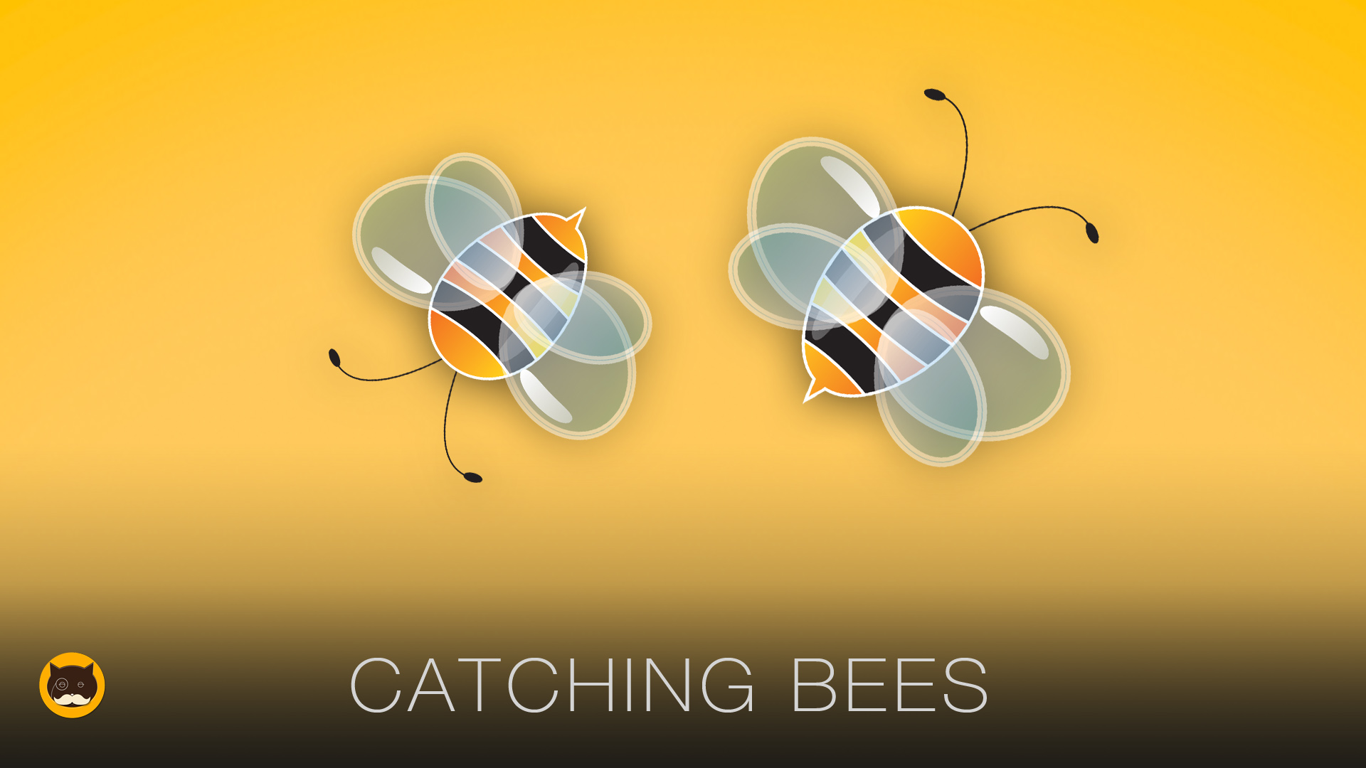 Games for Cats - Bees